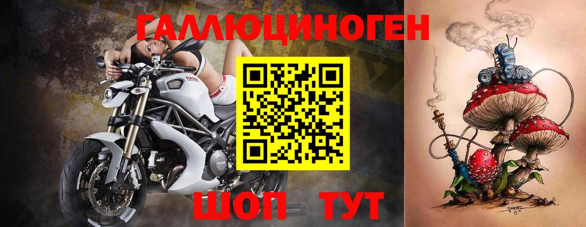 Псилоцибиновые грибы прущие грибы  Вход с VPN  Гусь-Хрустальный 